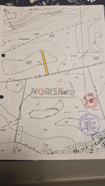 Teren extravilan | Tâncăbești | 5000mp 