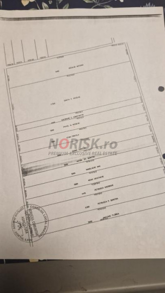 Teren extravilan | Tâncăbești | 5000mp 