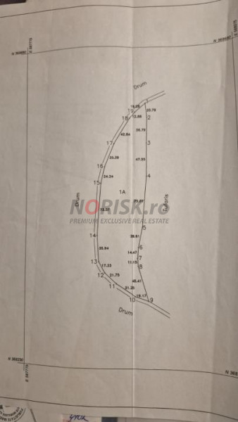 Teren extravilan | Tâncăbești | 5000mp 