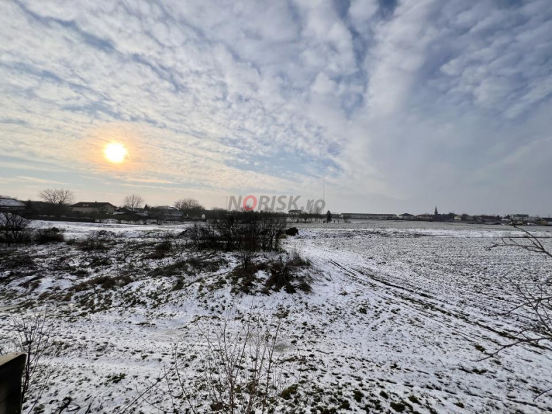 VILA 5 CAMERE lângă LAC și PADURE I Snagov - Vladiceasca I 450 MP Teren I NATURA