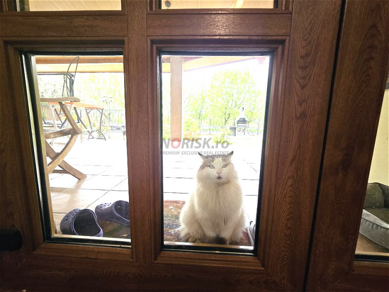 Lake House Dobroesti - Oaza ta de liniște și confort