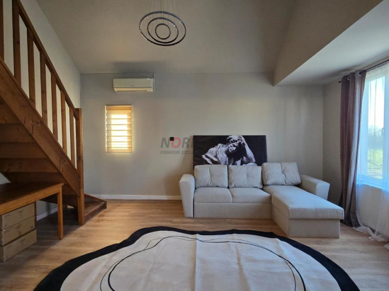 Prima inchiriere - vila + 500 mp teren - Vadul Anei, Branesti