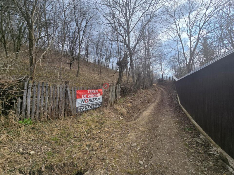 Oportunitate investitie teren  – Cerașu, Prahova | 3.485 mp | View spectaculos