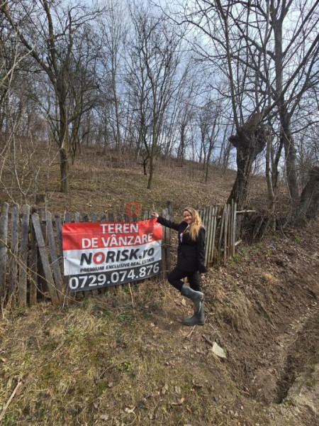 Oportunitate investitie teren  – Cerașu, Prahova | 3.485 mp | View spectaculos