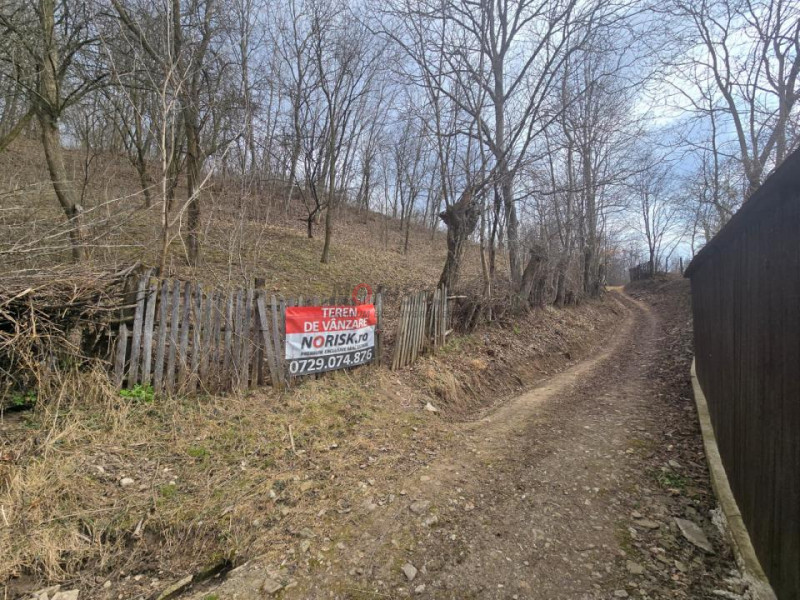 Oportunitate investitie teren  – Cerașu, Prahova | 3.485 mp | View spectaculos