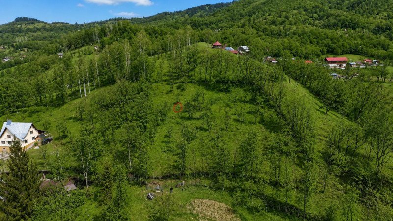 Oportunitate investitie teren  la munte, Prahova | 3.485 mp | View spectaculos