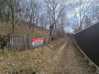 Oportunitate investitie teren  – Cerașu, Prahova | 3.485 mp | View spectaculos