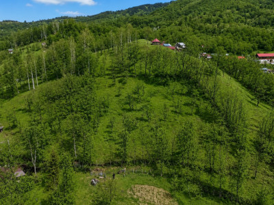 Oportunitate investitie teren  la munte, Prahova | 3.485 mp | View spectaculos
